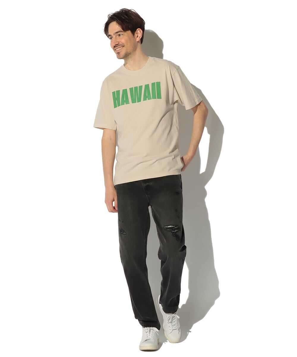 ヘビーウエイト ピグメントダイプリントT