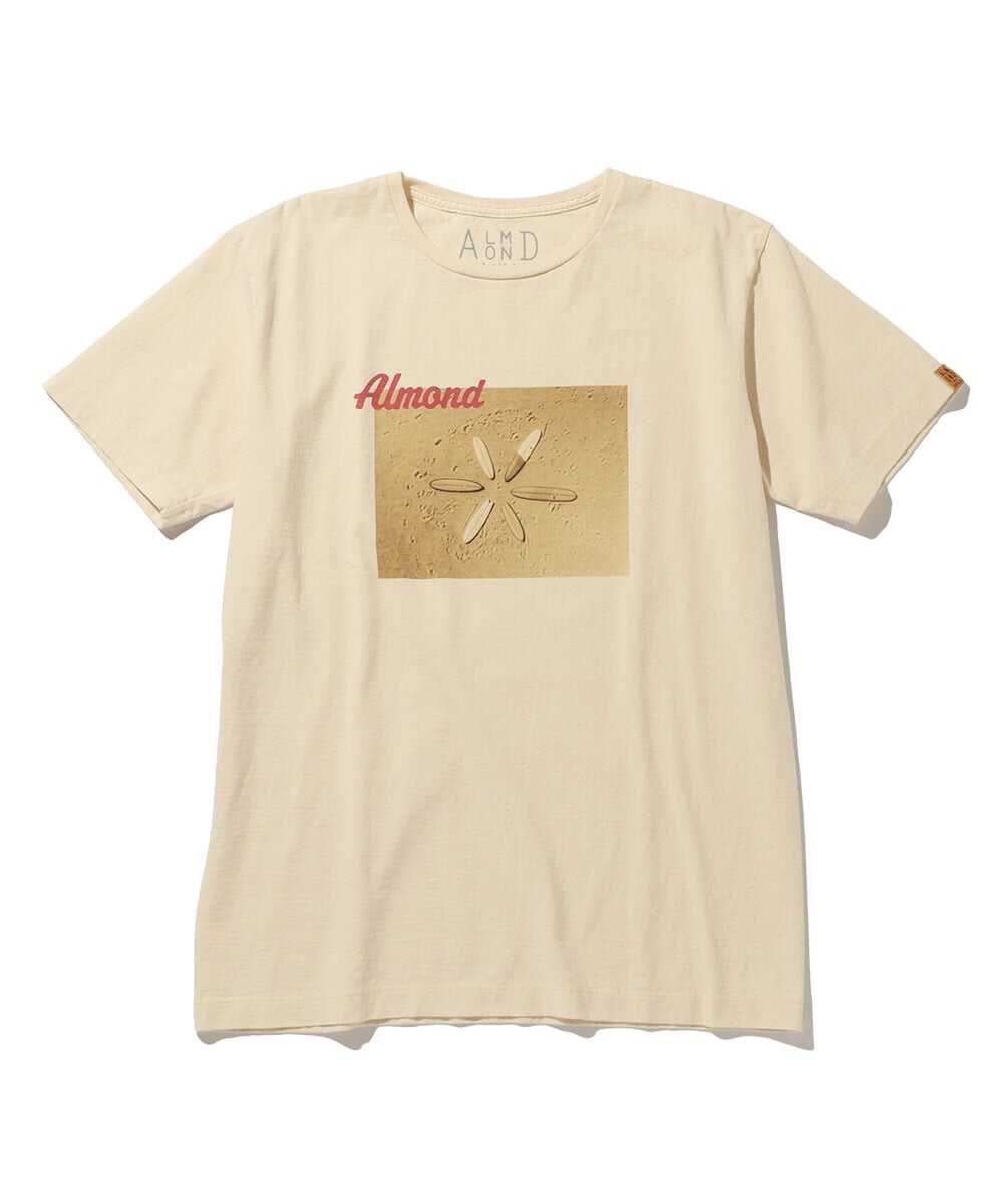 サーフボード フォトプリント コットンTシャツ