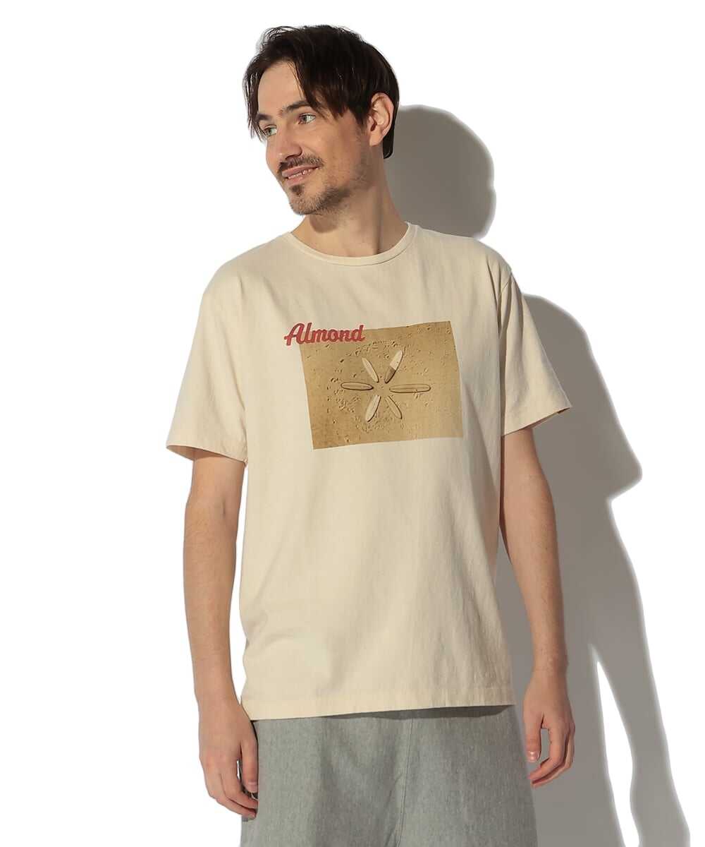 サーフボード フォトプリント コットンTシャツ