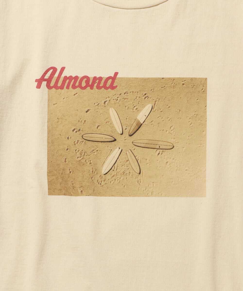 サーフボード フォトプリント コットンTシャツ