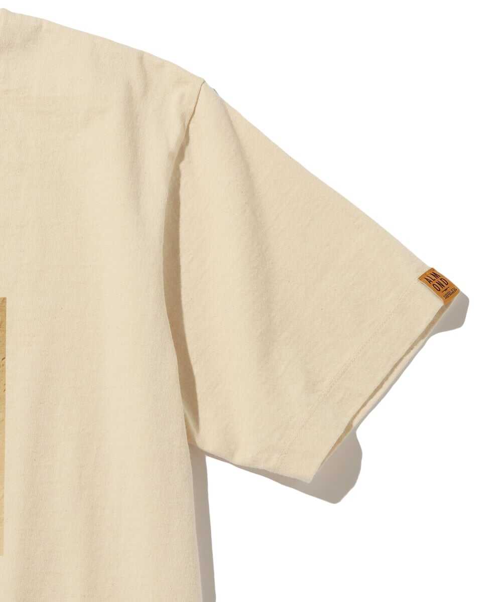 サーフボード フォトプリント コットンTシャツ